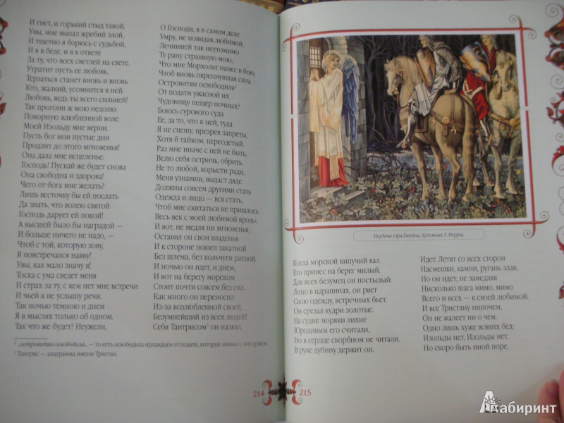 Иллюстрация 20 из 30 для Тристан и Изольда | Лабиринт - книги. Источник: Екатерина123