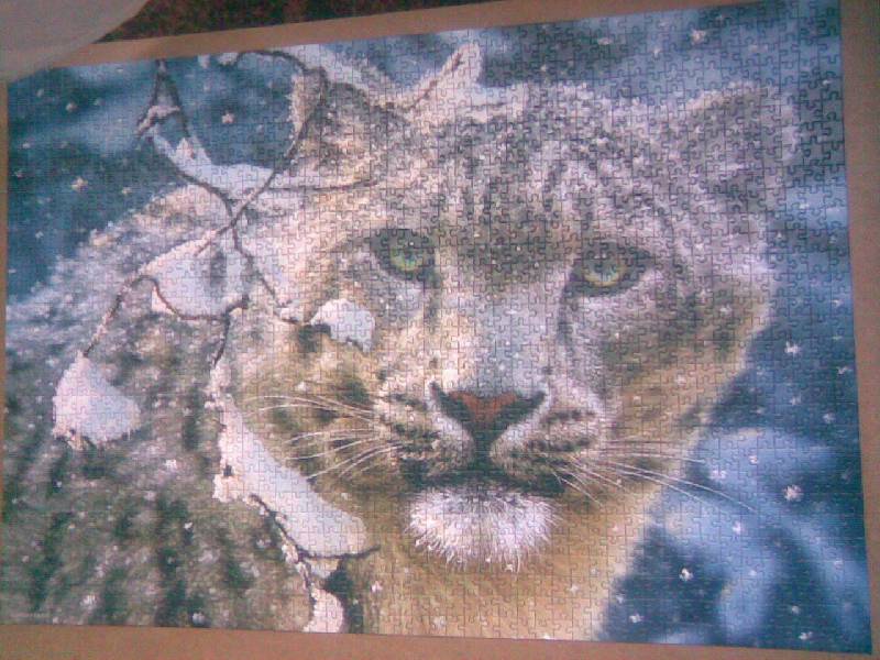 Иллюстрация 7 из 8 для Puzzle-1500. "Снежный леопард" (С-150823) | Лабиринт - игрушки. Источник: VS
