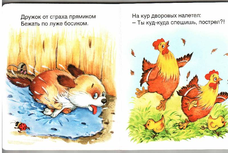 Иллюстрация 10 из 13 для Щенок Дружок - Владимир Борисов | Лабиринт - книги. Источник: Апельсинка