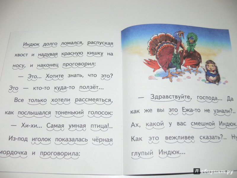 Иллюстрация 13 из 14 для Умнее всех - Дмитрий Мамин-Сибиряк | Лабиринт - книги. Источник: Irbis
