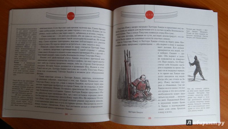 Иллюстрация 2 из 12 для Легенды ниндзя - Николай Рудаков | Лабиринт - книги. Источник: komer45