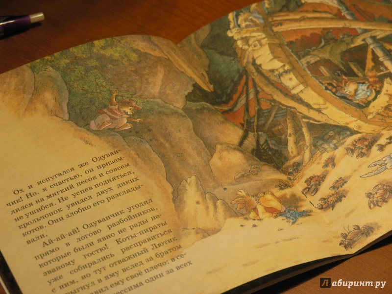 Иллюстрация 50 из 54 для Встреча с пиратами - Женевьева Юрье | Лабиринт - книги. Источник: Невская  Олеся
