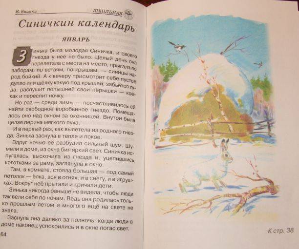 Иллюстрация 4 из 5 для Лесные происшествия - Виталий Бианки | Лабиринт - книги. Источник: mashensil