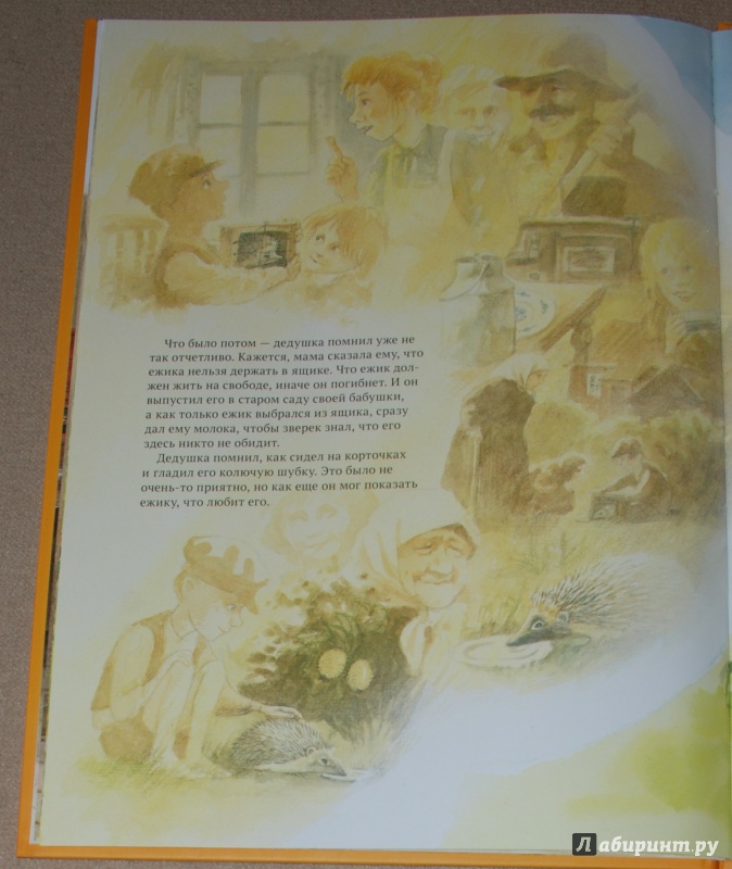 Иллюстрация 38 из 38 для В погоне за шляпой - Свен Нурдквист | Лабиринт - книги. Источник: Книжный кот