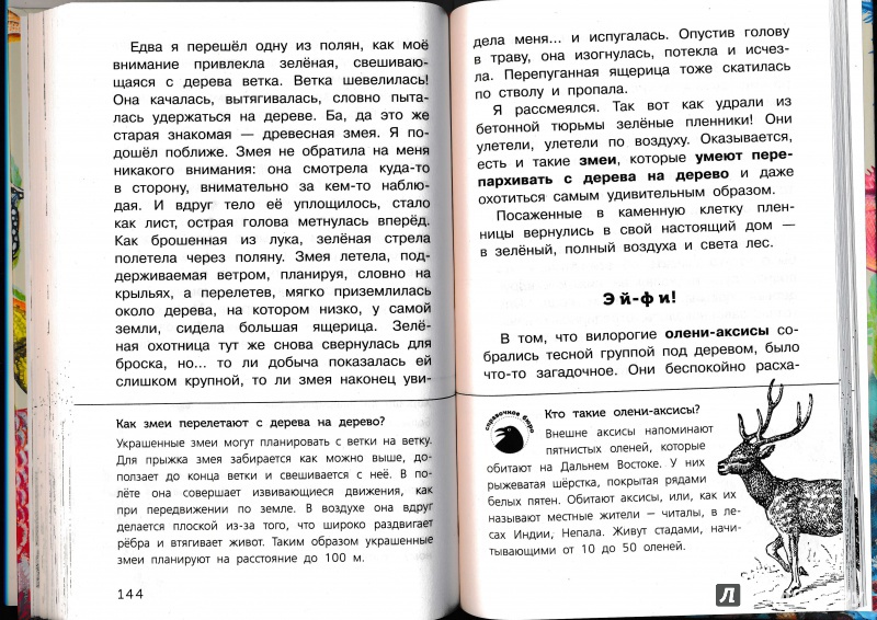 Иллюстрация 47 из 65 для Живые домики. С вопросами и ответами для почемучек - Сахарнов, Мосалов | Лабиринт - книги. Источник: Террил