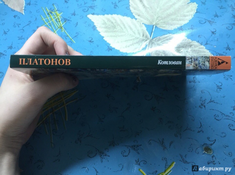 Иллюстрация 5 из 32 для Котлован - Андрей Платонов | Лабиринт - книги. Источник: Эникта