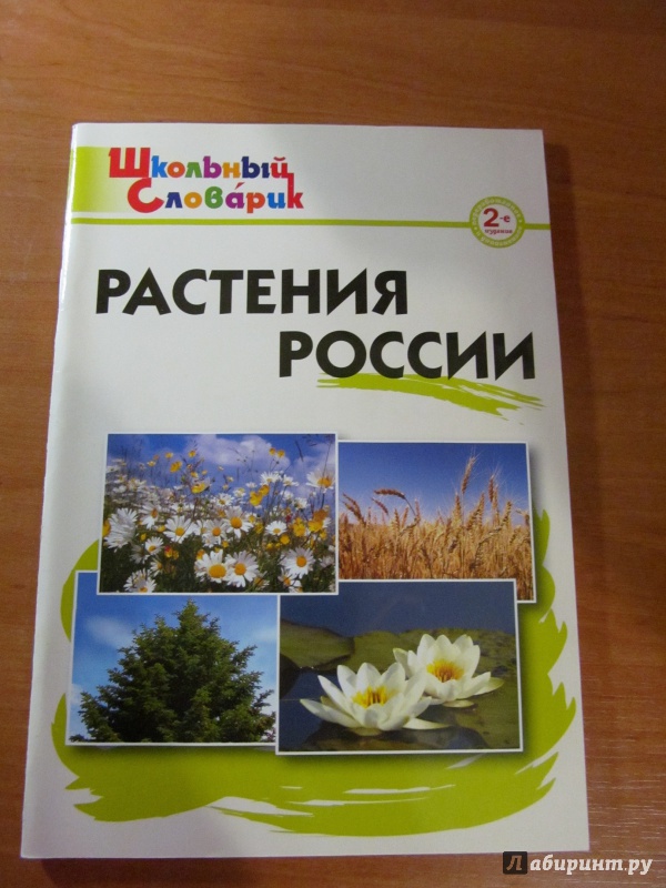 Иллюстрация 4 из 17 для Растения России. ФГОС | Лабиринт - книги. Источник: Носова  Татьяна