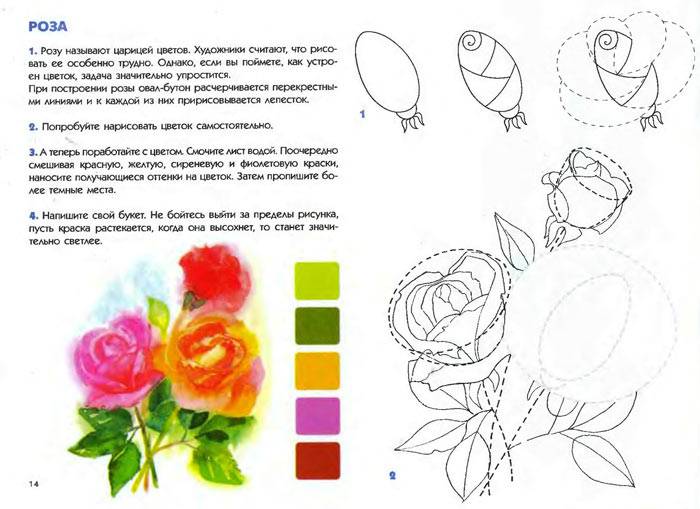 Иллюстрация 18 из 19 для Акварельные цветы. Учебное издание. | Лабиринт - книги. Источник: Кнопа2