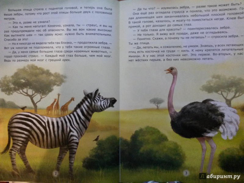 Иллюстрация 1 из 31 для Заботы страуса - Лариса Тарасенко | Лабиринт - книги. Источник: Бурмистрова  Елена