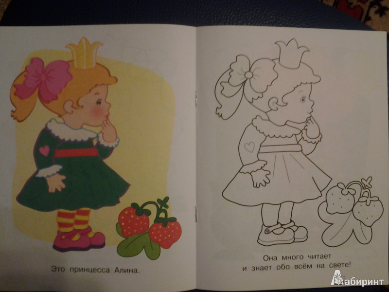 Иллюстрация 4 из 18 для Маленькие принцессы | Лабиринт - книги. Источник: Сидорова  Диана