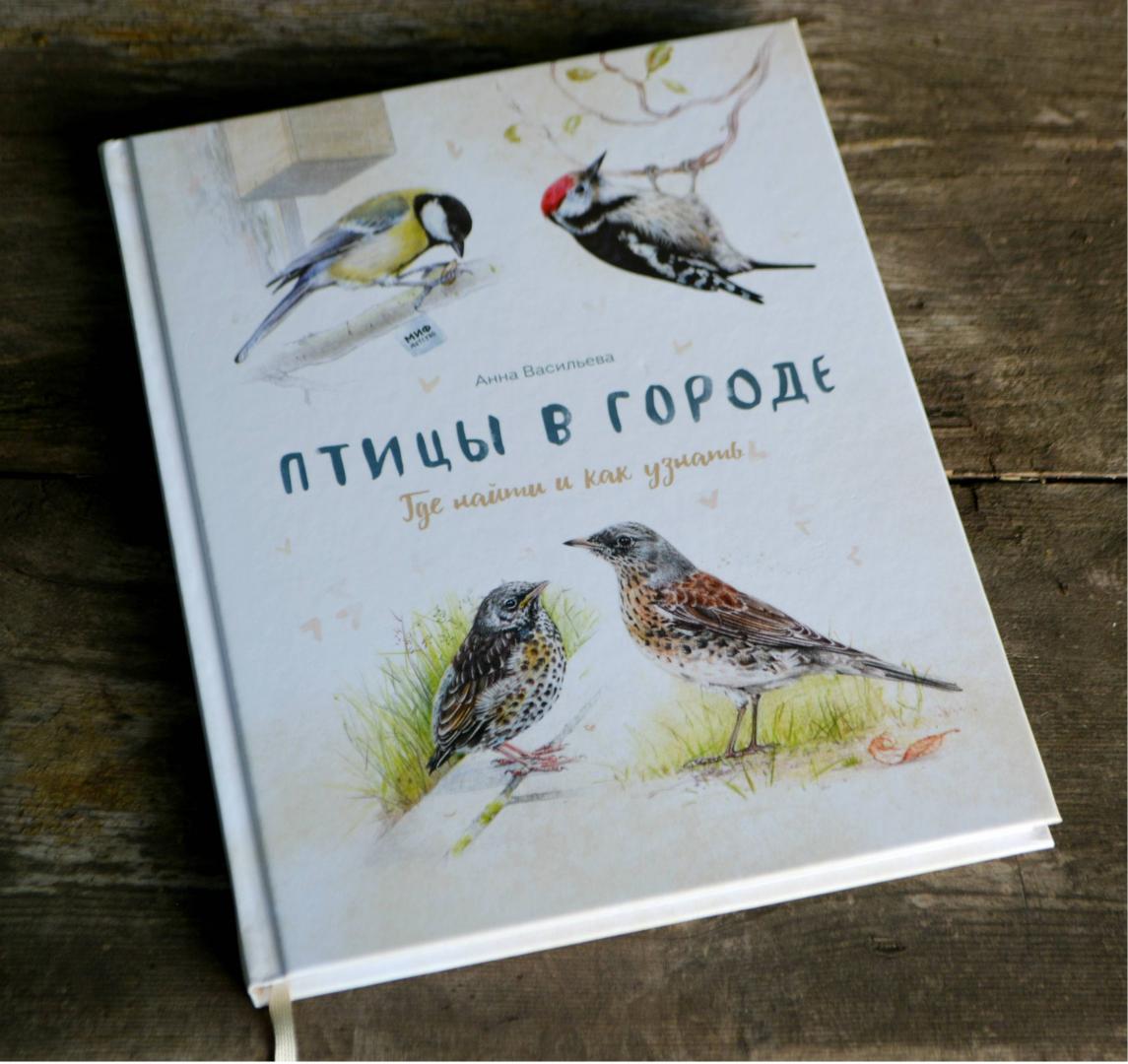 Иллюстрация 95 из 156 для Птицы в городе. Где найти и как узнать - Анна Васильева | Лабиринт - книги. Источник: Блог Шурикимама
