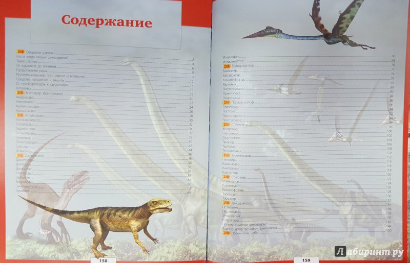 Иллюстрация 21 из 26 для Все тайны динозавров - Ликсо, Хомич, Филиппова | Лабиринт - книги. Источник: Теплова  Юлия