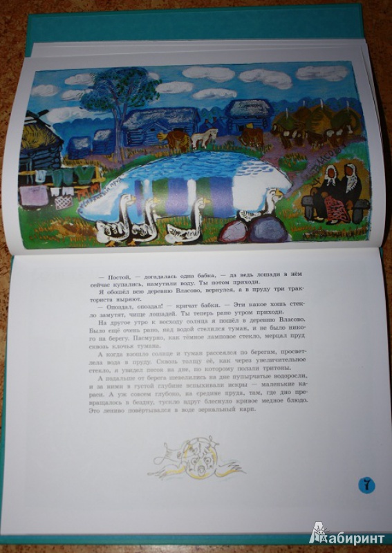 Иллюстрация 35 из 43 для Стеклянный пруд - Коваль, Маврина | Лабиринт - книги. Источник: КНИЖНОЕ ДЕТСТВО
