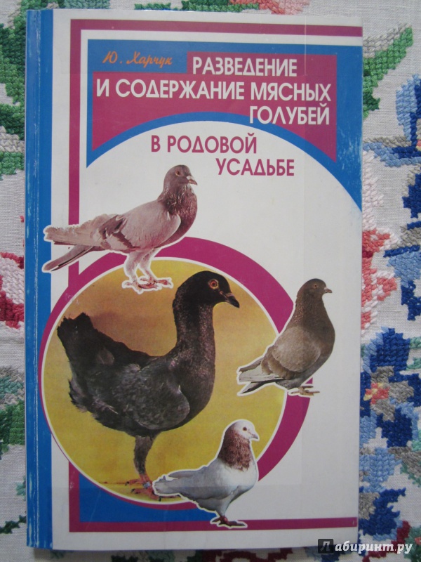 Иллюстрация 2 из 26 для Разведение и содержание мясных голубей в родовой усадьбе - Юрий Харчук | Лабиринт - книги. Источник: A. Fragaria