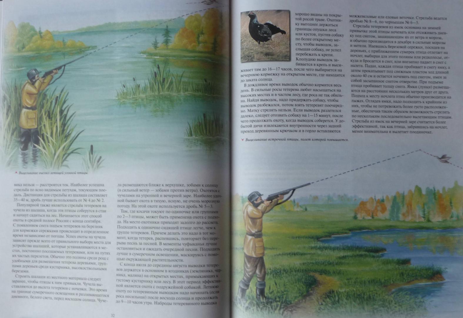 Иллюстрация 25 из 27 для Охота - Ликсо, Виноградов, Шунков | Лабиринт - книги. Источник: SiB
