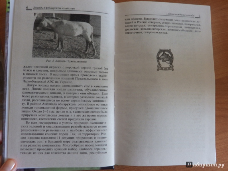 Иллюстрация 5 из 16 для Лошадь в фермерском хозяйстве - Мирось, Ткачева | Лабиринт - книги. Источник: товарищ маузер