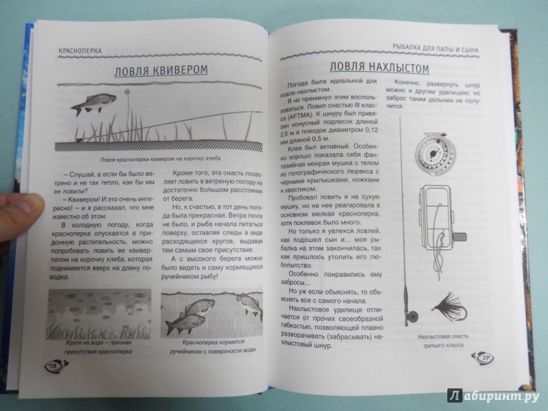 Иллюстрация 7 из 7 для Рыбалка для папы и сына - Мельников, Сидоров | Лабиринт - книги. Источник: dbyyb