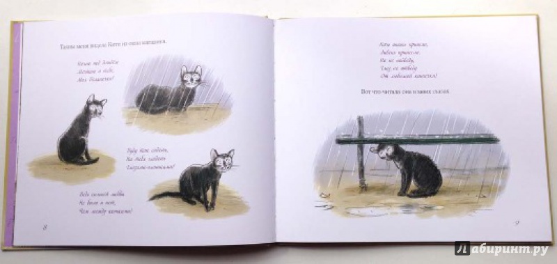 Иллюстрация 7 из 83 для Нуаро и Бланш - Антон Соя | Лабиринт - книги. Источник: Olga