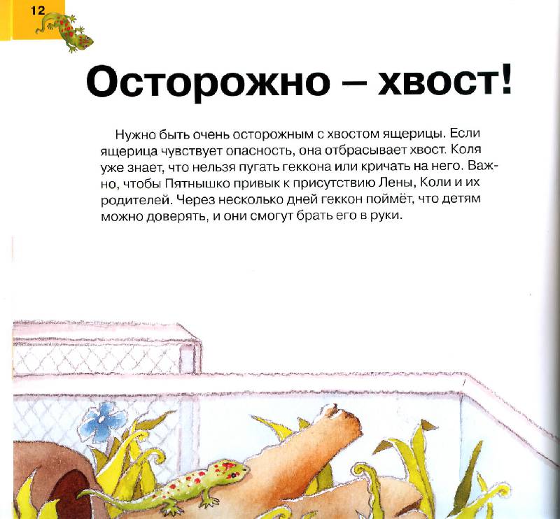Иллюстрация 12 из 20 для Твоя ящерица. Уход за домашним любимцем - Алехандро Альгарра | Лабиринт - книги. Источник: Росинка