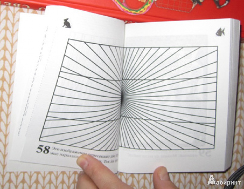 Иллюстрация 3 из 19 для Визуальные загадки (мяг) | Лабиринт - книги. Источник: А  Юлия