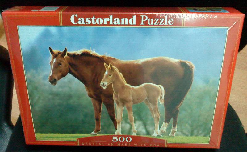 Иллюстрация 2 из 2 для Puzzle-500 "Лошадь и жеребенок" (В-50871) | Лабиринт - игрушки. Источник: Губяткин  Павел Владимирович