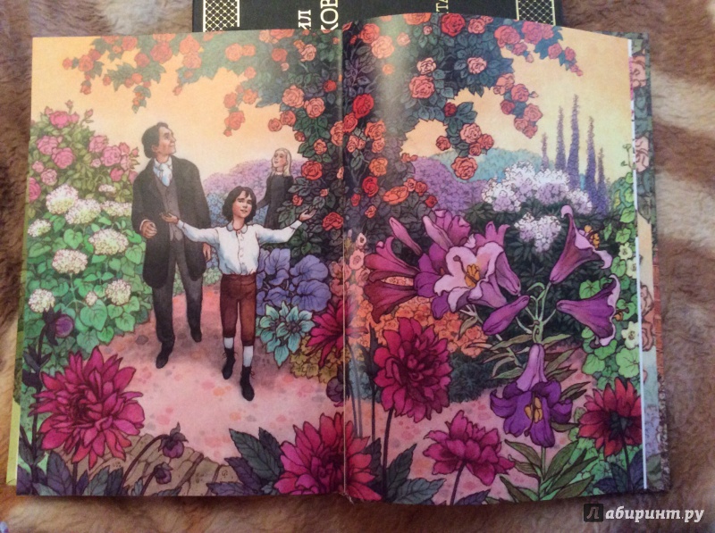 Иллюстрация 6 из 64 для Таинственный сад - Фрэнсис Бёрнетт | Лабиринт - книги. Источник: Лабиринт