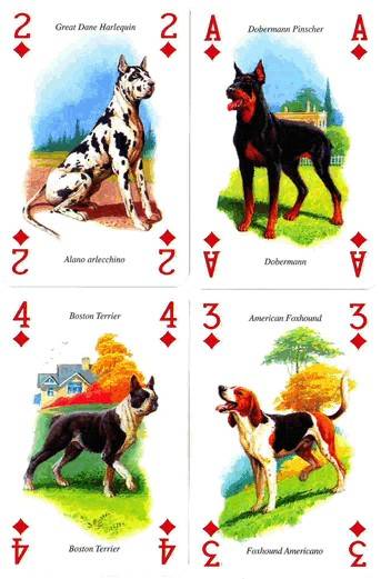Иллюстрация 4 из 10 для Карты игральные. Собаки | Лабиринт - игрушки. Источник: Kvaki