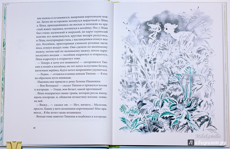 Иллюстрация 71 из 86 для Тяпкин и Леша - Майя Ганина | Лабиринт - книги. Источник: Букландия