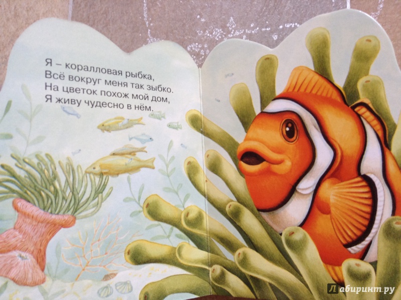 Иллюстрация 3 из 12 для Про рыбку. Зверята - Т. Назарчук | Лабиринт - книги. Источник: Olikandbolik