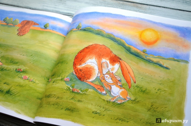 Иллюстрация 54 из 82 для Куда уложить зайчонка? - Шеридан Кейн | Лабиринт - книги. Источник: Мама_принцессы