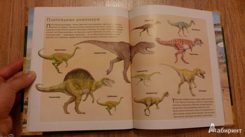 Иллюстрация 19 из 47 для В поисках динозавра - Николас Харрис | Лабиринт - книги. Источник: Белинская  Надежда