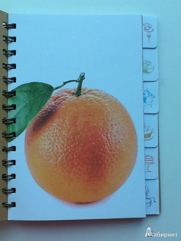 Иллюстрация 3 из 29 для Книга для записи рецептов "Апельсин" | Лабиринт - книги. Источник: terramisu
