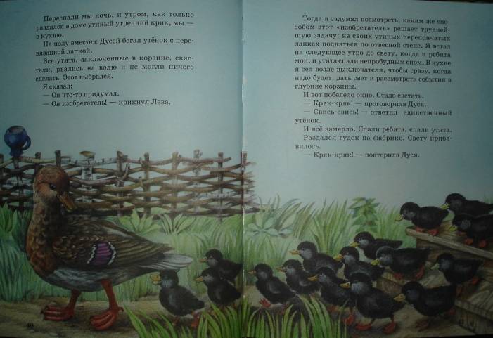 Иллюстрация 18 из 25 для Рассказы о животных - Михаил Пришвин | Лабиринт - книги. Источник: Настёна