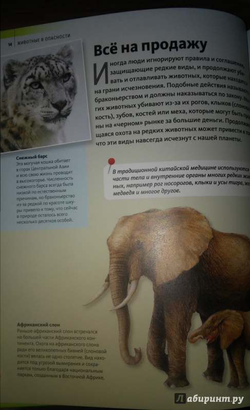 Иллюстрация 8 из 14 для Животные в опасности | Лабиринт - книги. Источник: WhiteOwl