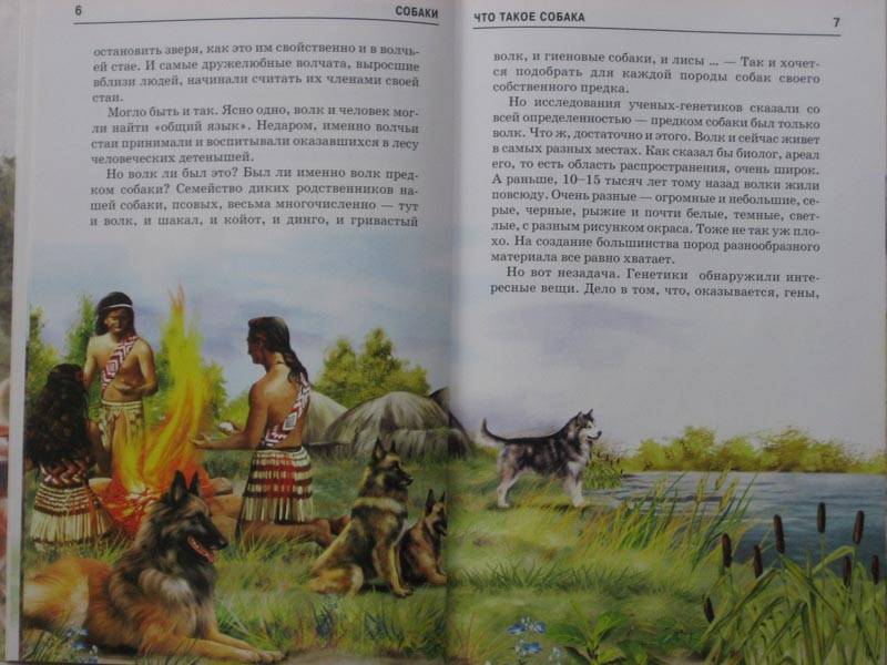 Иллюстрация 8 из 24 для Собаки - Е.И. Александрова | Лабиринт - книги. Источник: Dana-ja