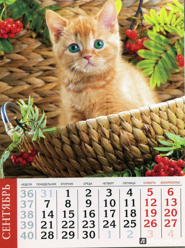 Иллюстрация 9 из 19 для Календарь на 2015 год "Кошки" (на магнитном креплении) (35772-36) | Лабиринт - сувениры. Источник: Кулагина  Марина Михайловна