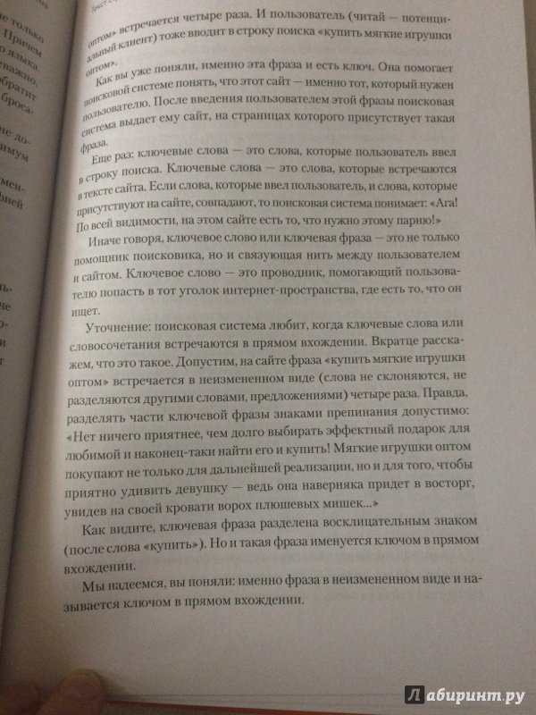 Иллюстрация 25 из 36 для Увеличение продаж с SEO - Дыкан, Севостьянов | Лабиринт - книги. Источник: Светлана