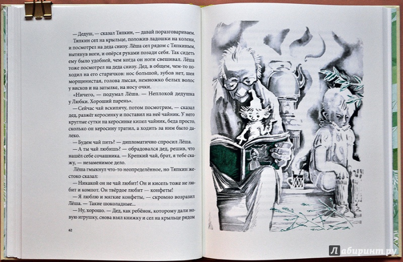 Иллюстрация 57 из 86 для Тяпкин и Леша - Майя Ганина | Лабиринт - книги. Источник: Раскова  Юлия