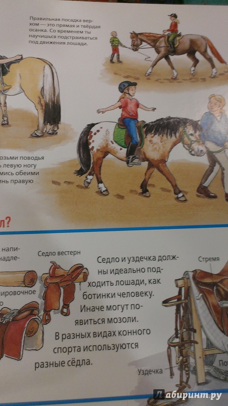Иллюстрация 21 из 34 для Лошади и пони - Татьяна Марти | Лабиринт - книги. Источник: Савчук Ирина