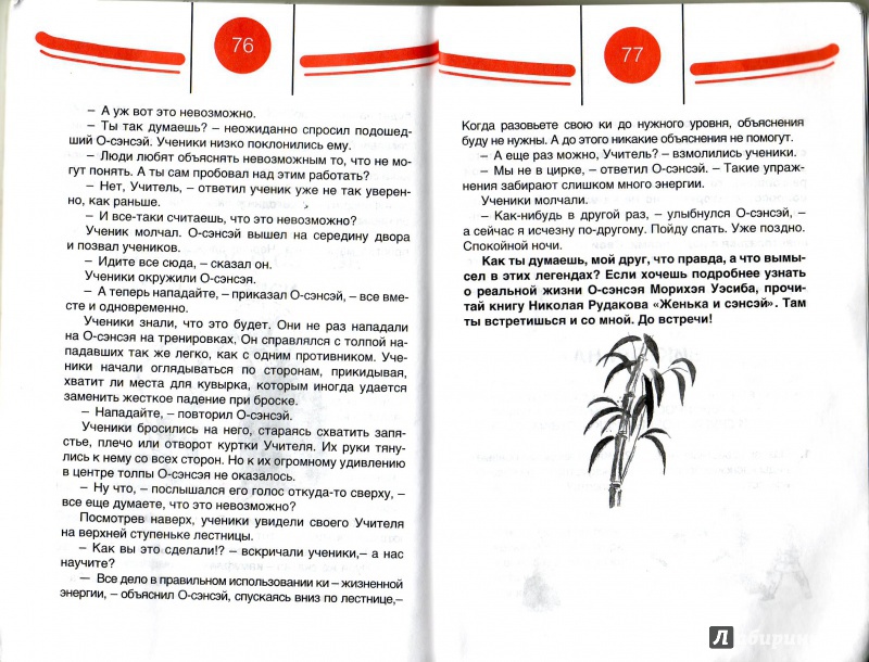 Иллюстрация 5 из 17 для Дневники юного айкидоки - Александров, Рудаков | Лабиринт - книги. Источник: Трубадур