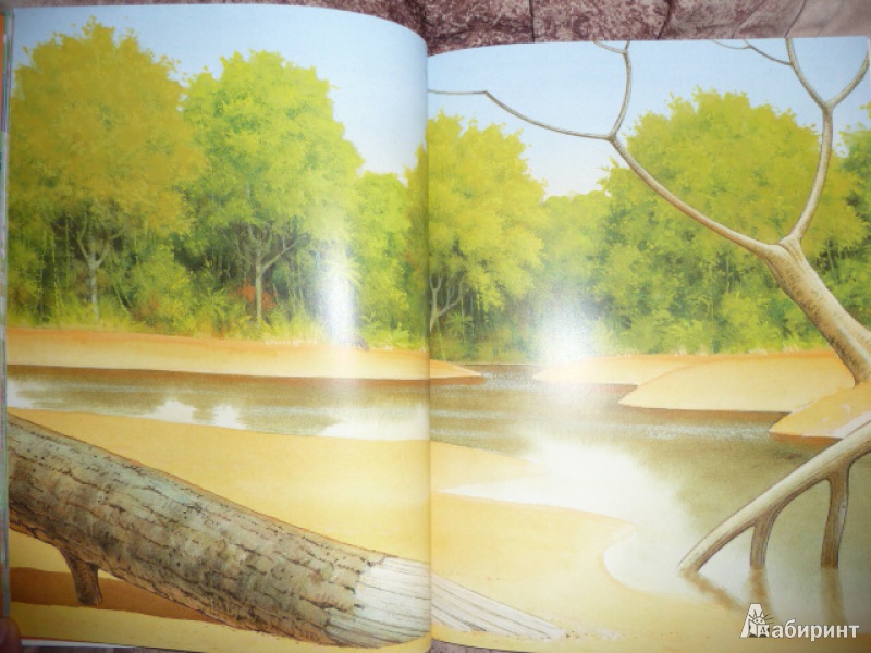 Иллюстрация 8 из 17 для Чудо-наклейки. Мир джунглей - Морис Пледжер | Лабиринт - книги. Источник: Anyta23