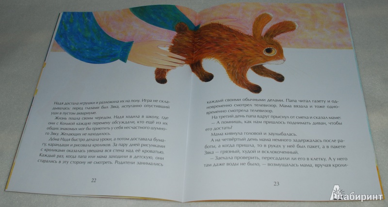 Иллюстрация 23 из 44 для Декоративный Зяка - Олег Корниенко | Лабиринт - книги. Источник: Книжный кот