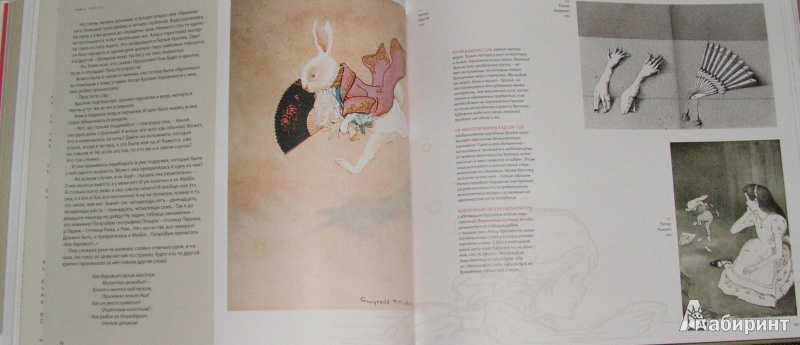 Иллюстрация 25 из 35 для Алиса в Стране чудес. В Стране чудес Алисы. Книга-альбом - Льюис Кэрролл | Лабиринт - книги. Источник: Solen