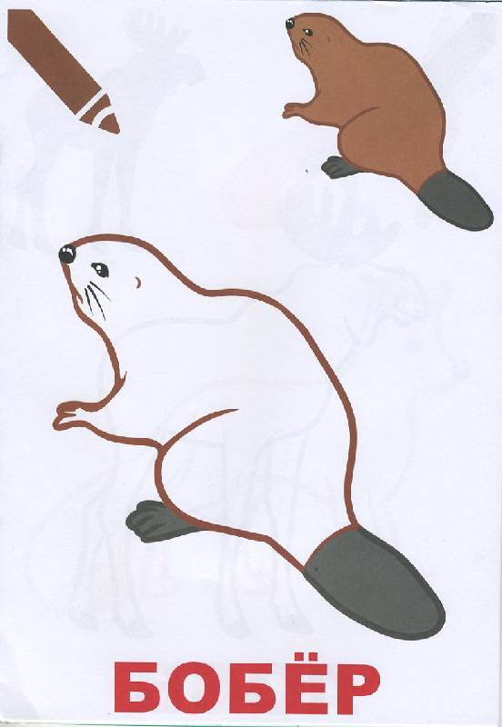Иллюстрация 2 из 7 для Маленький художник. Выпуск 6. Лесные звери | Лабиринт - книги. Источник: Pallada