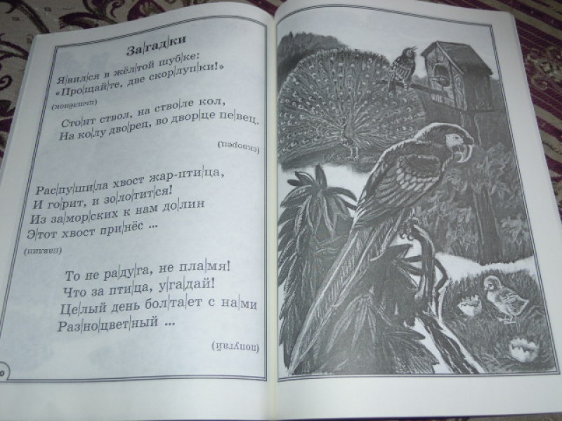 Иллюстрация 12 из 13 для 100 познавательных текстов для обучения детей чтению - Узорова, Нефедова | Лабиринт - книги. Источник: Iwolga