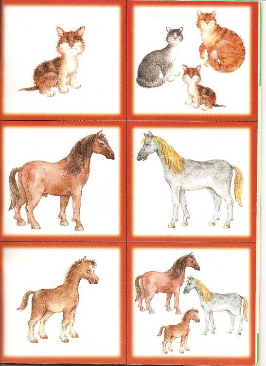 Иллюстрация 3 из 5 для Семья. Домашние животные. | Лабиринт - книги. Источник: Марта