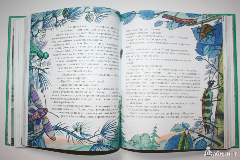 Иллюстрация 16 из 86 для Необыкновенные приключения Карика и Вали - Ян Ларри | Лабиринт - книги. Источник: Попова  Анна