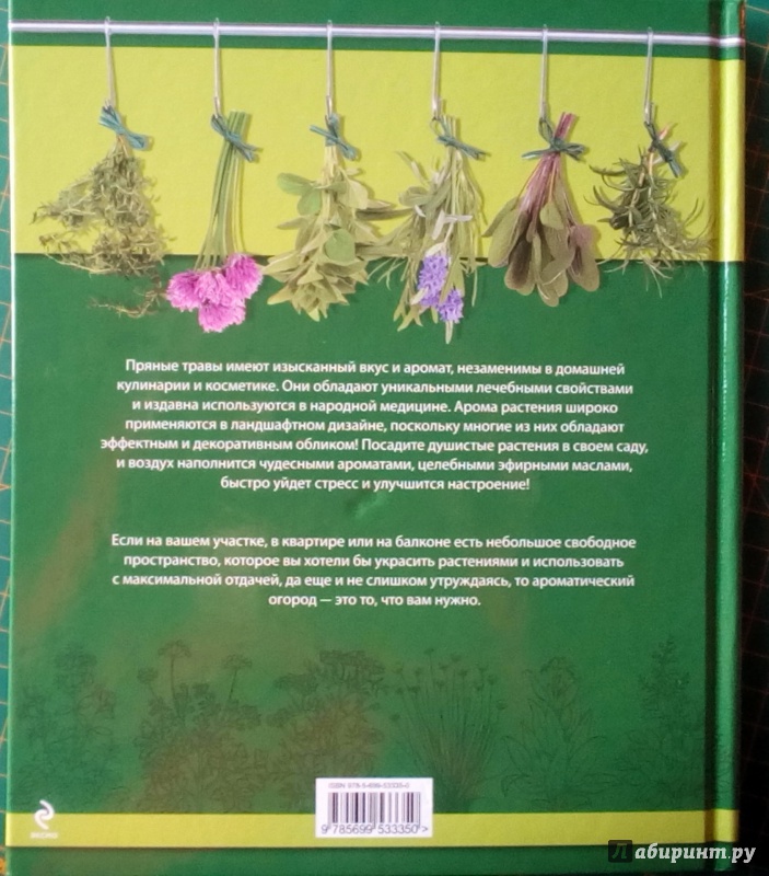 Иллюстрация 11 из 21 для Пряные травы в вашем саду - Ольга Уварова | Лабиринт - книги. Источник: Panterra
