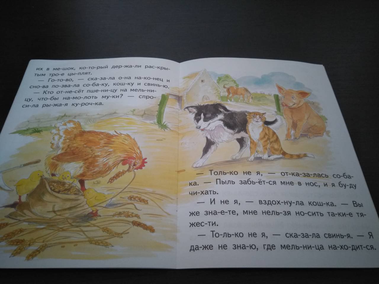 Иллюстрация 11 из 12 для Курочка и пшеничные зерна | Лабиринт - книги. Источник: ksyundel