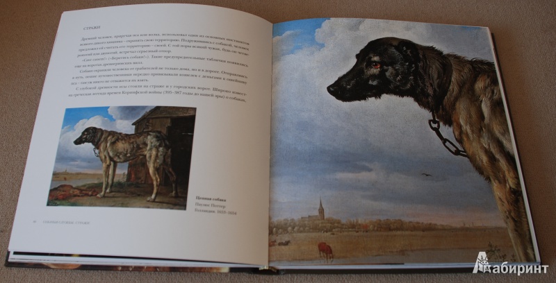 Иллюстрация 6 из 20 для Боги, люди, собаки - Голь, Халтунен, Мамонова | Лабиринт - книги. Источник: Книжный кот